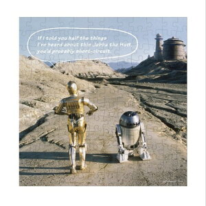 �e�����[(Tenyo) ���{�� 144�s�[�X �W�O�\�[�p�Y���p�l�� �X�^�[�E�H�[�Y STAR WARS R2-D2 C-3PO (24×24cm) W-144-691 �̂�t�� �p�l���t��