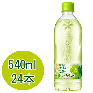 EÉE VC}XJbg 540mlPET×24{