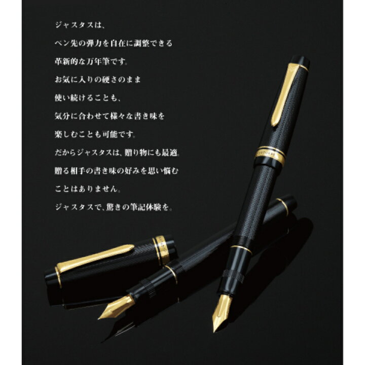 楽天市場】パイロット 万年筆 ジャスタス95 FJ-3MR ストライプブラック 