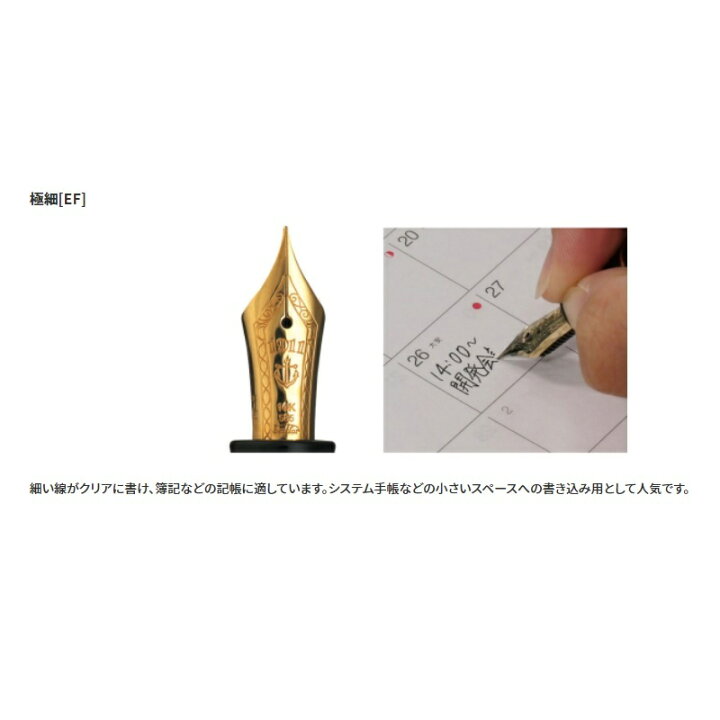 楽天市場】セーラー万年筆 プロフィット ブラックラスター 万年筆 極細 