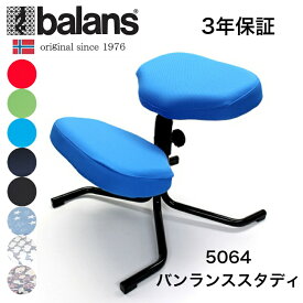 【20％OFF】バランススタディ アクア／デニムスター 5064 国新産業 バランスチェア オフィスチェア 事務イス パソコンチェア OAチェア 椅子 子供 学習