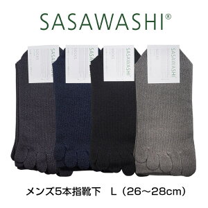 SASAWASHI �����Y5�{�w�C�� L 26�`28cm �`���R�[�� �l�C�r�[ �u���b�N �u���E�� WSK-31 �C�� �����a�� �R�� �h�L ���{�� ���̓��M�t�g ���̓� ���̓��v���[���g �v���[���g �M�t�g �����Y �j�� ���p