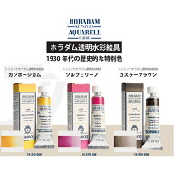 【限定商品】シュミンケ レトロライン ホラダム透明水彩絵具 210 ガンボージガム 375 ソルフェリーノ 675…