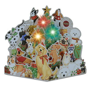 TI NX}XJ[h CgfB[ Ckς JXPM 4-5 S 7304 243841 킢 v[g XmasJ[h Christmas card O[eBOJ[h SANRIO