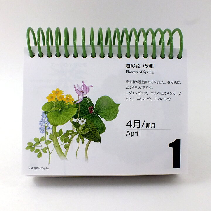 楽天市場 北海道花暦 植物画による毎年カレンダーカレンダー 万年カレンダー 花 植物画 卓上カレンダー ギフト プレゼント 贈り物 大丸藤井セントラル 楽天市場店