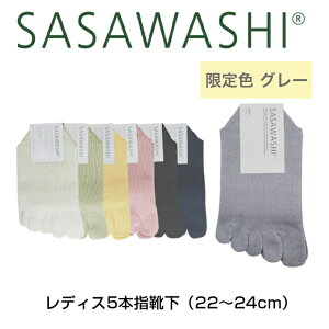 SASAWASHI fBX5{wC 22`24cm lCr[ ubN Th ItzCg CG[ sN FO[ WSK-03 BSK fB[X C \bNX a TTV R hL { ̓ v