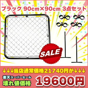 yzԌyVX[p[SALEilőoIyΏۏizyzAJtFXubNPi O ^  X`[ d؂  OptFX  K[Wq O