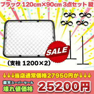 yzԌyVX[p[SALEilőoIyΏۏizyzAJtFXubNPi O ^  X`[ d؂  OptFX  K[Wq O