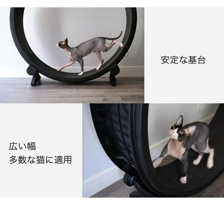 犬 用 ナイロン製 スイベル アクセサリ ランニング 格納式 3m 耐久性 ある素材 5m ウォーキング ネック 犬 用 ナイロン製 スイベル アクセサリ ランニング 格納式 3m 耐久性 ある素材 5m ウォーキング ネック