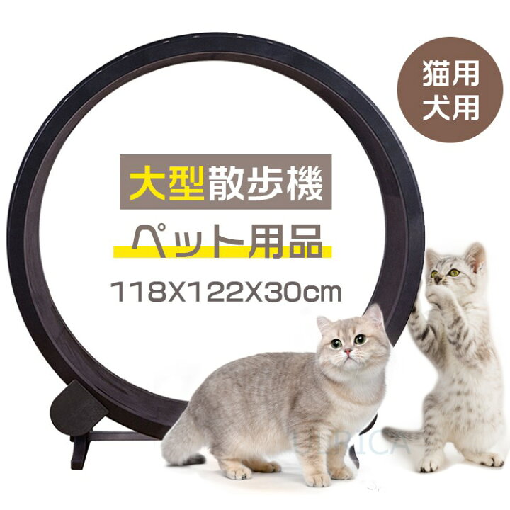 楽天市場 猫用 犬用 ペット用品 走る 鍛錬 トレーニング 運動 在宅 回し車 お散歩 便利 大型散歩機 ランニングマシン トレーニング機器 ペット鍛錬24 Al41 Ulrica