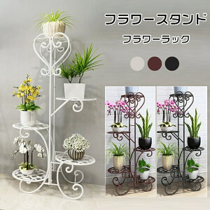 鉢植え 木 屋外の人気商品 通販 価格比較 価格 Com
