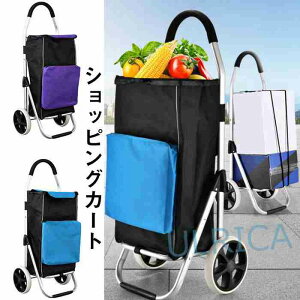 キャリーカート 旅行用品 軽量の通販 価格比較 価格 Com