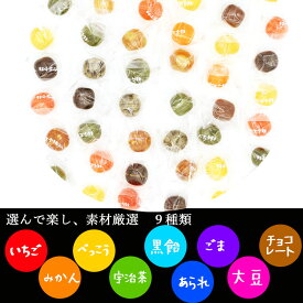 1000円ポッキリ 送料無料 飴 お徳用 9種京風ミックス あめ キャンディ 老舗 こだわり 和菓子 スイーツ 飴屋 あめや お得用 大入り 業務用 ミックス 飴ちゃん 1000円 ぽっきり 母の日ギフト アソート