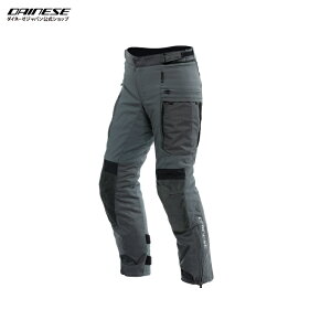yzSPRINGBOK 3L ABSOLUTESHELL PANTS S̏Cۏؕt DAINESEi_Cl[[j