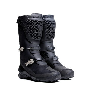 yzSEEKER GORE-TEX BOOTS S̏Cۏؕt DAINESEi_Cl[[j