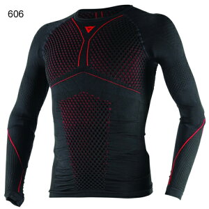 yzD-CORE THERMO TEE LS S̏Cۏؕt DAINESEi_Cl[[j