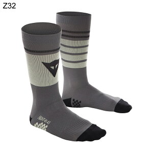yzHG SOCKS@S̏Cۏؕt DAINESEi_Cl[[j