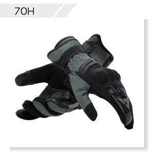 yzTEYDE GORE-TEX GLOVES S̏Cۏؕt DAINESE(_Cl[[)