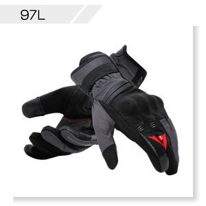 yzTEYDE GORE-TEX GLOVES S̏Cۏؕt DAINESE(_Cl[[)