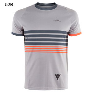 yzAWA TEE 1@S̏Cۏؕt DAINESEi_Cl[[j