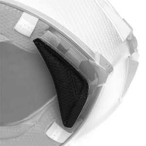 �y�����z WIND PROTECTOR PISTA GP RR - BLACK 001N�@���S�̕ۏؕt���W�F�b�g�w�����b�g�p���� �E�B���h�v���e�N�^�[ AGV(�G�[�W�[�u�C)