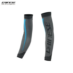 yzDRY ARM S̕ۏؕtDAINESEi_Cl[[j