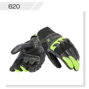 yzX-RIDE 2 ERGO-TEK GLOVES@S̏Cۏؕt DAINESEi_Cl[[j