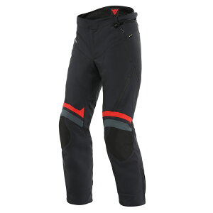 yzCARVE MASTER 3 GORE-TEX PANTS S̏Cۏؕt oCN SAebNX pc ~
