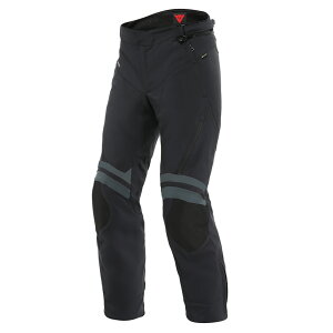 yzCARVE MASTER 3 GORE-TEX PANTS S̏Cۏؕt oCN SAebNX pc ~