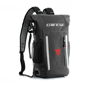 yzEXPLORER WP BACKPACK 15L S̏Cۏؕt DAINESEi_Cl[[j