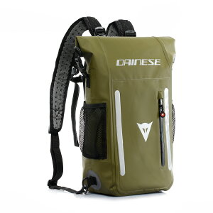yzEXPLORER WP BACKPACK 15L S̏Cۏؕt DAINESEi_Cl[[j