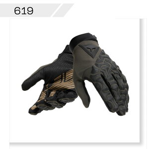 yzHGR GLOVES EXT@S̏Cۏؕt DAINESEi_Cl[[j