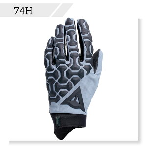 yzHGR GLOVES EXT@S̏Cۏؕt DAINESEi_Cl[[j