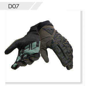 yzHGR GLOVES EXT@S̏Cۏؕt DAINESEi_Cl[[j