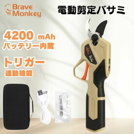 【クーポンで10,183円 軽量890g】電動剪定鋏 軽量 電動剪定バサミ 22MM切断径 電動ハサミ 園芸はさみ 女性 コードレス 充電式 剪定バサミ 電動鋏 4200mAh電池内蔵 トリガー連動機能搭載 SK5高炭素鋼 日本語取扱説明書付き 庭木 果樹剪定 bm-mini BraveMonkey