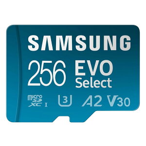 SAMSUNG EVO Micro SD Memory Card 256GB microSDXC 160MB/s (MB-ME256SA/AM)