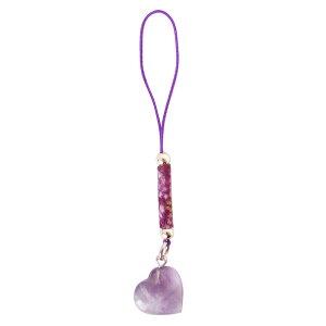 n[gXgbv `[ Xgbv n[g VR KX   A  ߂ tRt 10 剤쏊