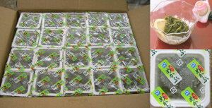 ~jJbvt߂ԁ@20g@100×4