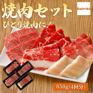 ЂƂē o[xL[ BBQ Zbg  ēZbg A 840g _CL Jr n~ ^  t \ Lv ЂƂ ē lߍ킹  ̓ 