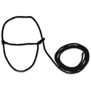 _p {Yp y |      zAi  M M Mp [v NV  [h