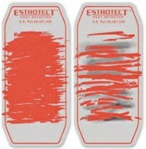 _p {Yp  y GXgeNg 50 eFz    Ai   S p   ɏ uh \t R[eBO oY oY QǗ  