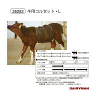 酪農用 畜産用 【 牛用 コルセット S・L 】 生後60日頃齢まで Sサイズ 生後60日齢頃以降 Lサイズ 牧畜 産…