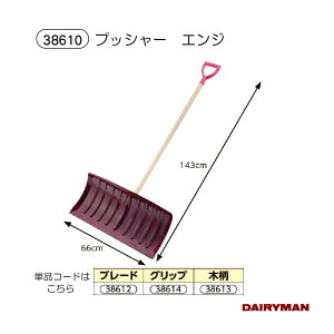 {Yp vbV[ y N[vbV[ GW ^p[ce zL 66cm ̃GT   Ⴉ ͂ qlg ܂ƂߔIXX