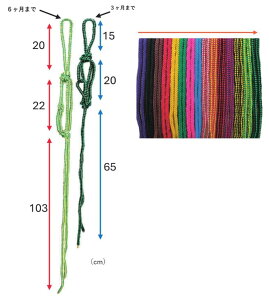 ep y epNV eF z3J܂ŗp 6J܂ŗp Jt ap p [v NV  [h Ă   