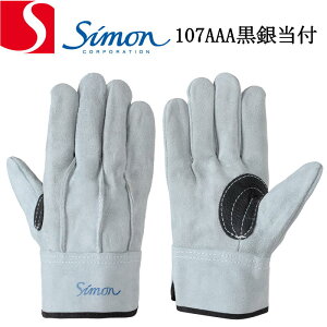 Ǝ V v 107AAAⓖt 10og simon 
