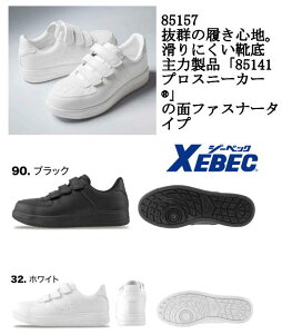SC W[xbN jp 85157 }WbN ʃt@Xi[ |c ϊ\[ v L 4E EEEE NbV xebec SXj[J[ JSAA Y fB[X