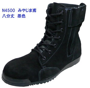 SC p ݂₶ܓ  N4500 nF SC xA v