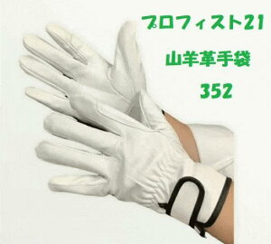 Ɗv Rr烌W[Aet 352 10og vtBXg21