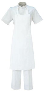 Gv  T-70 5g |GXe6535 A׃`gZ arbe chitose