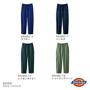 XNupc fBbL[Y 5020SC Dickies jp Ô u|Xgv s